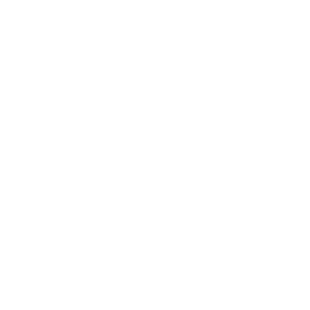 vivibe-visa-matching